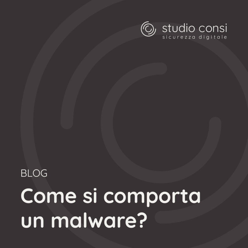 Come si comporta un malware?